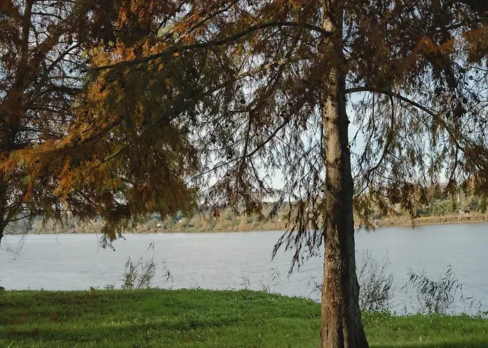 Votre Château La Capelle Dans Les Vignes *